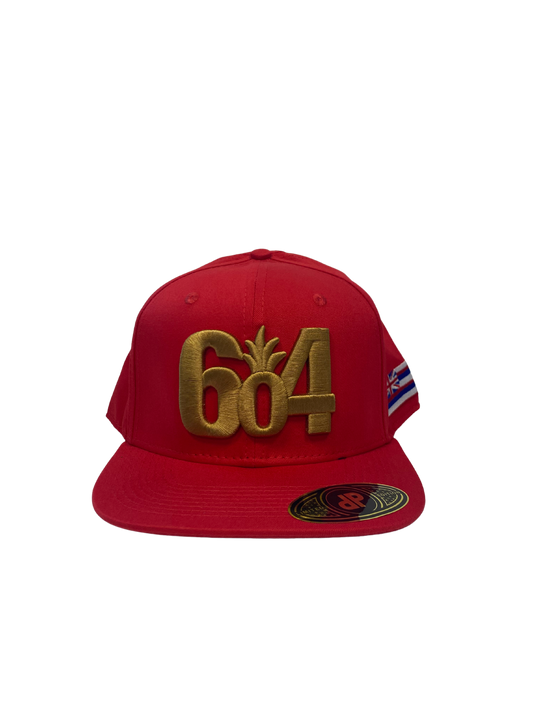 NFL Hat - 49ers