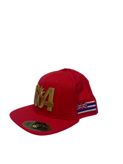 NFL Hat - 49ers