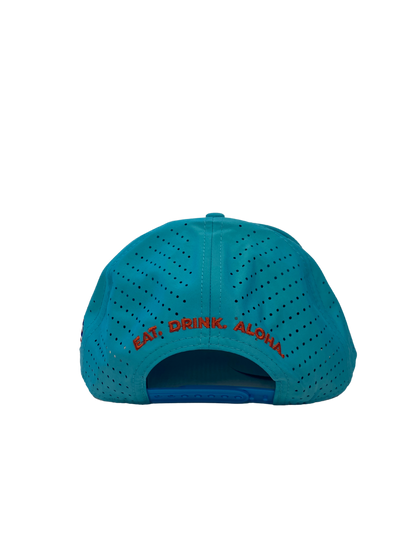 NFL Hat - Dolphins