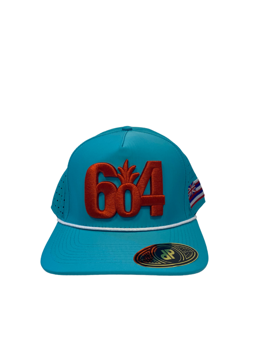 NFL Hat - Dolphins