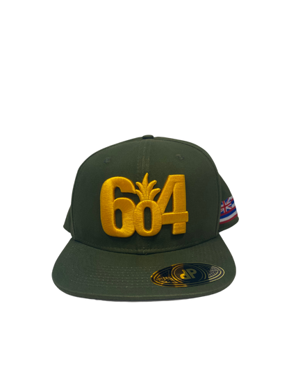 NFL Hat - Packers