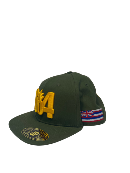 NFL Hat - Packers