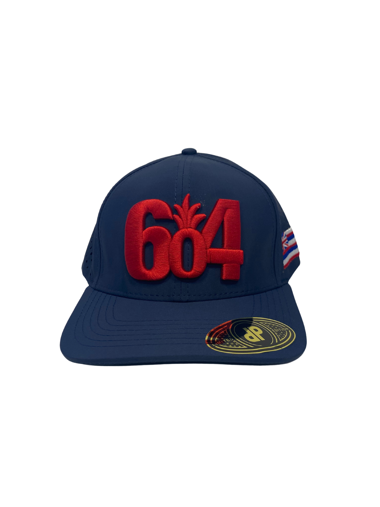 NFL Hat - Patriots