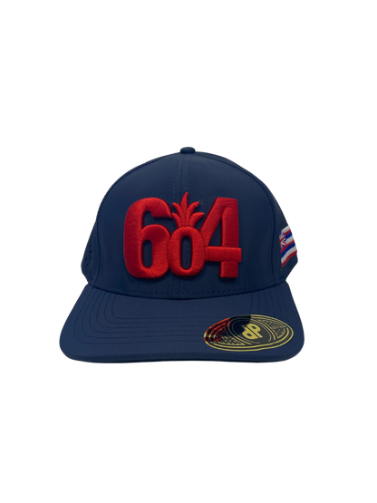 NFL Hat - Patriots